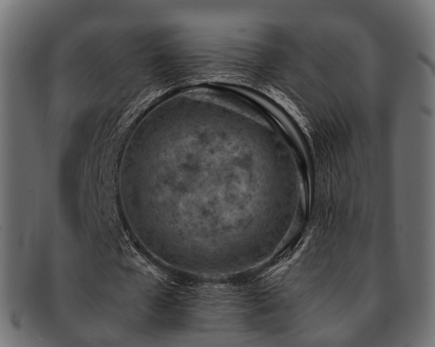 X0000093230577200709261654