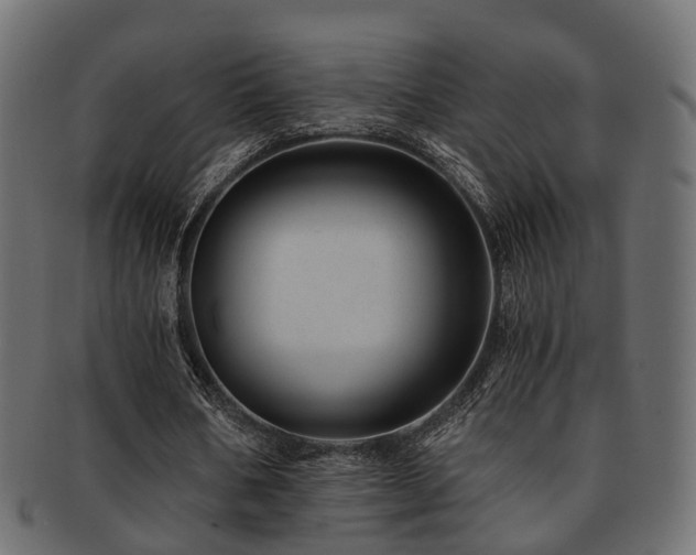 X0000093230578200709261654