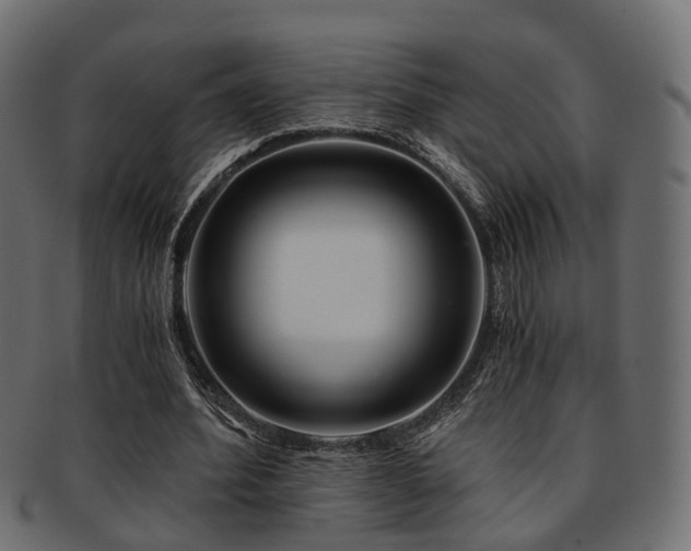 X0000093230580200709261654