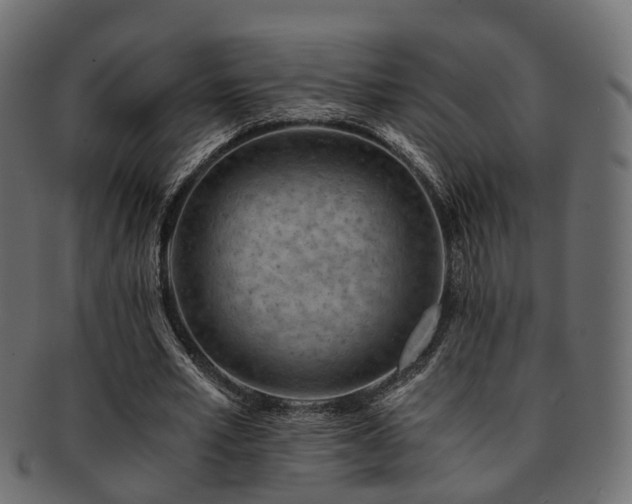 X0000093230581200709261654