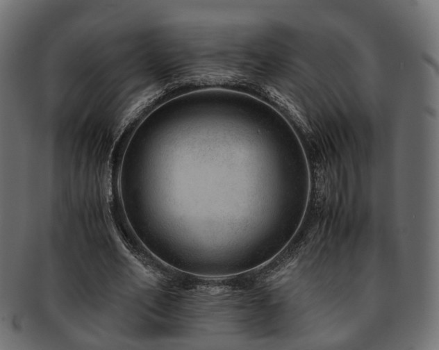 X0000093230582200709261654