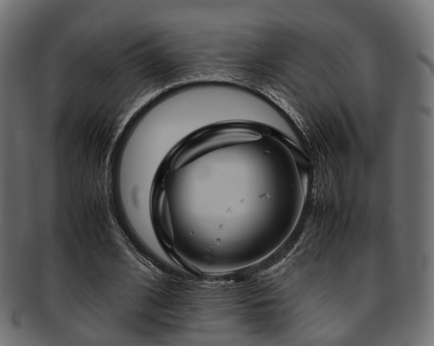 X0000093230584200709261654