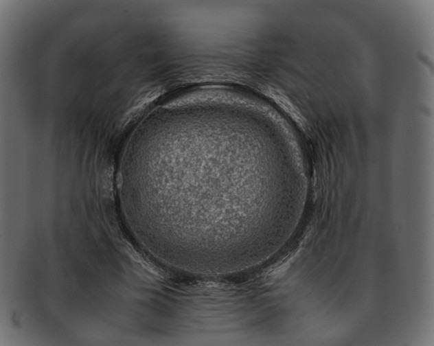 X0000093230585200709261654