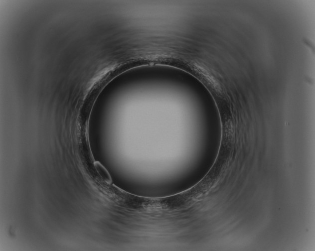 X0000093230587200709261654