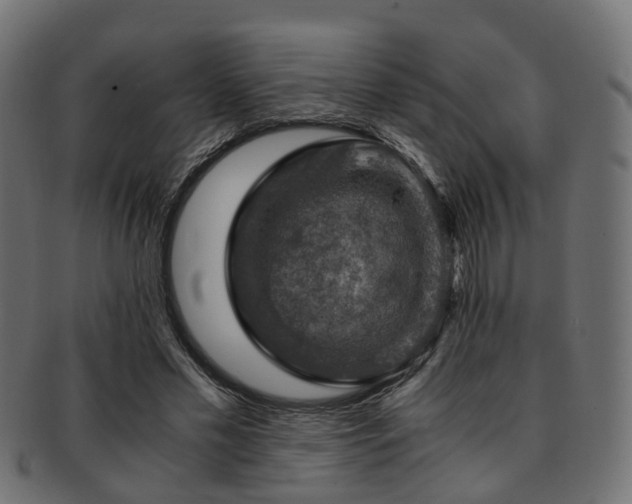 X0000093230589200709261654