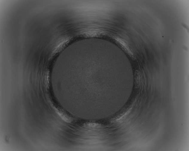 X0000093230590200709261654