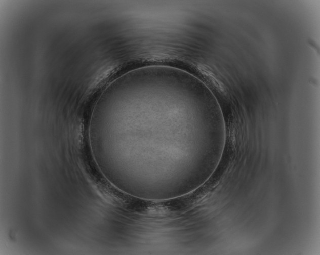 X0000093230591200709261654