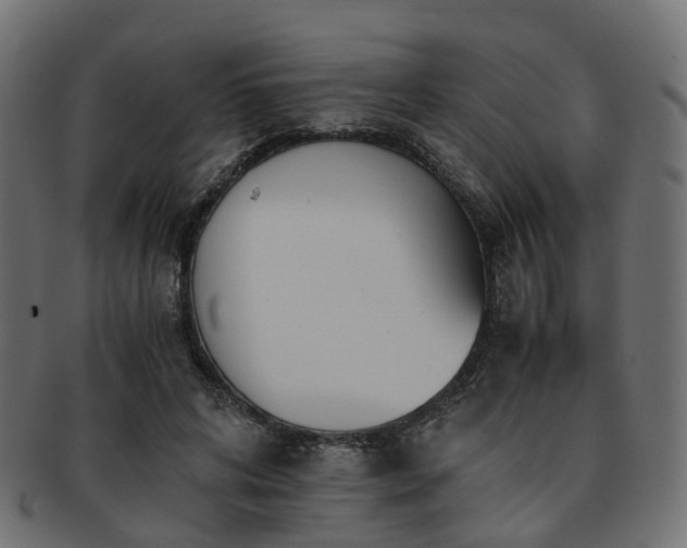 X0000093230592200709261654