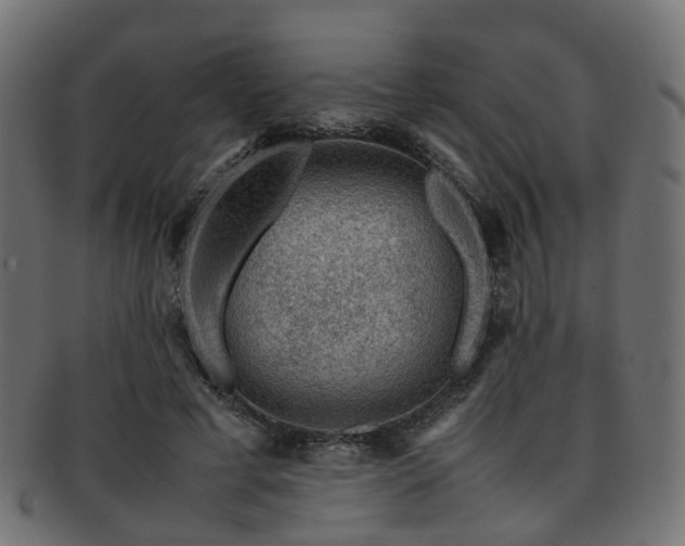 X0000093230593200709261654