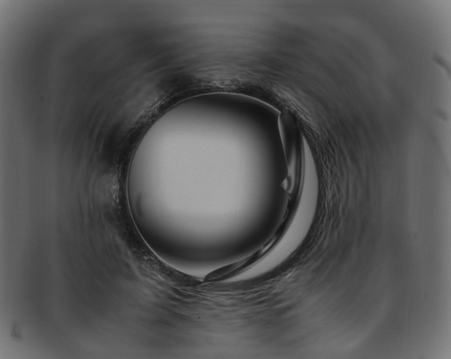 X0000093230595200709261654