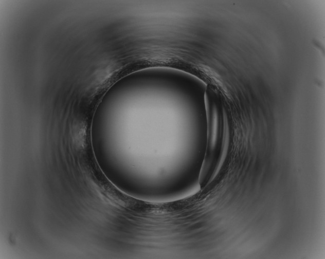 X0000093230596200709261654