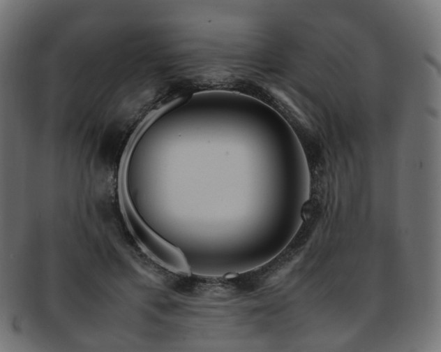 X0000093230597200709261654