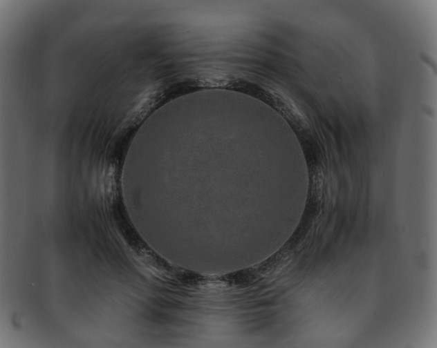 X0000093230598200709261654