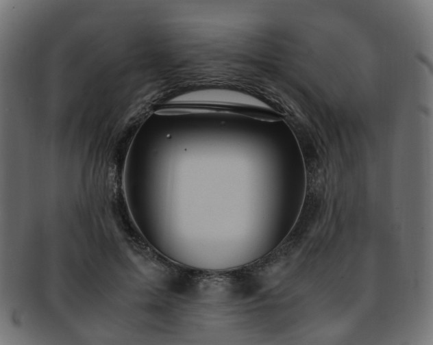 X0000093230599200709261654