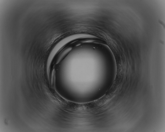 X0000093230600200709261654