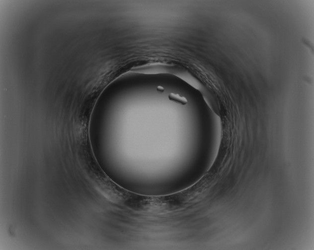 X0000093230601200709261653