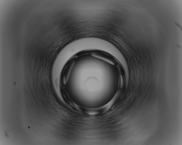 X0000093230604200709261653