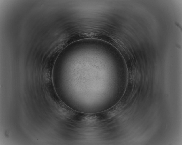 X0000093230606200709261653