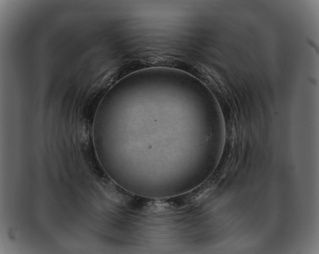 X0000093230607200709261653