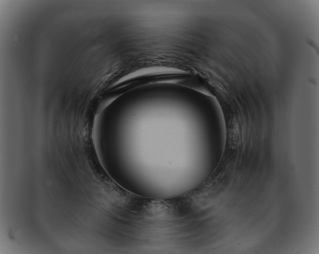 X0000093230608200709261653