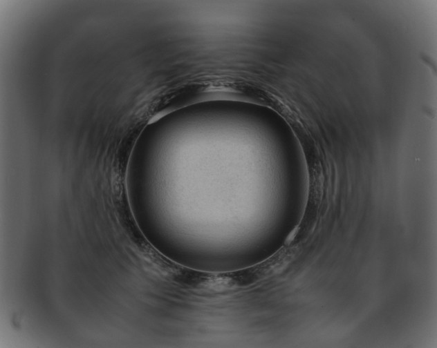 X0000093230609200709261653