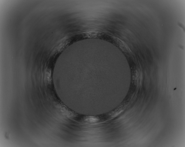 X0000093230610200709261653