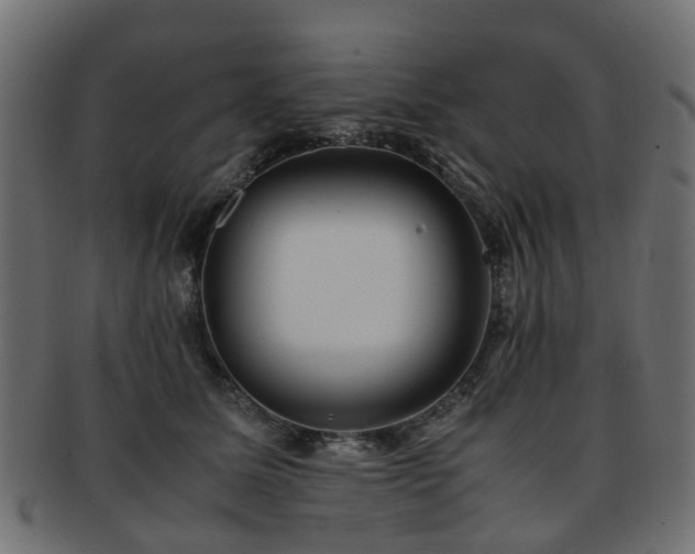 X0000093230611200709261653