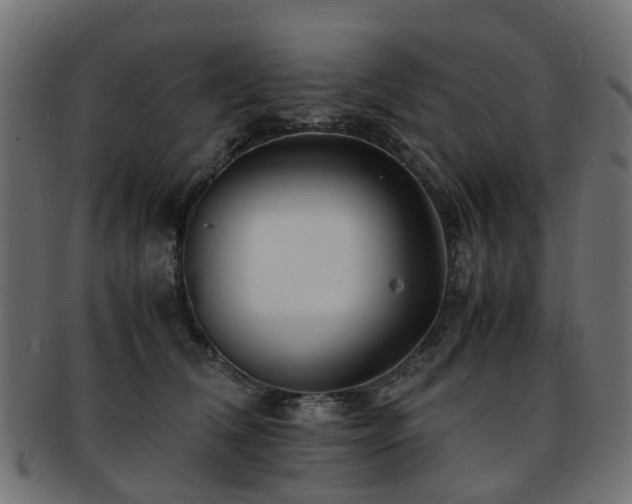 X0000093230612200709261653