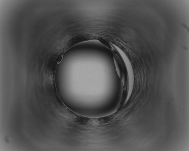 X0000093230613200709261653