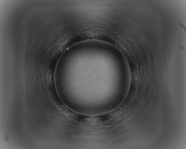 X0000093230615200709261653