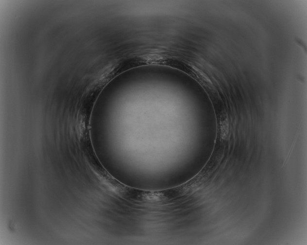 X0000093230618200709261653