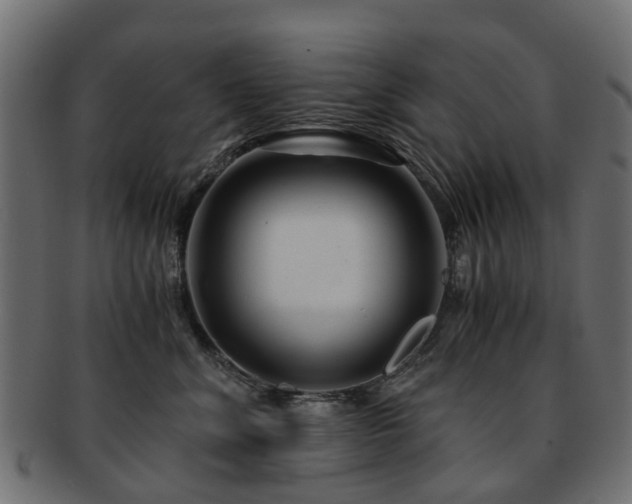 X0000093230620200709261653