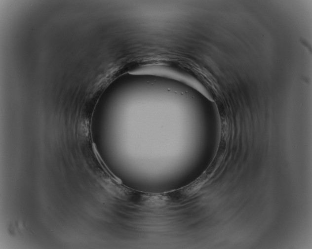 X0000093230621200709261653