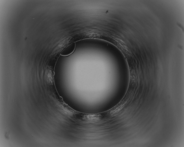X0000093230622200709261653