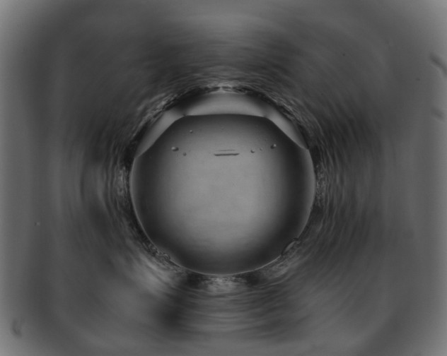 X0000093230623200709261653