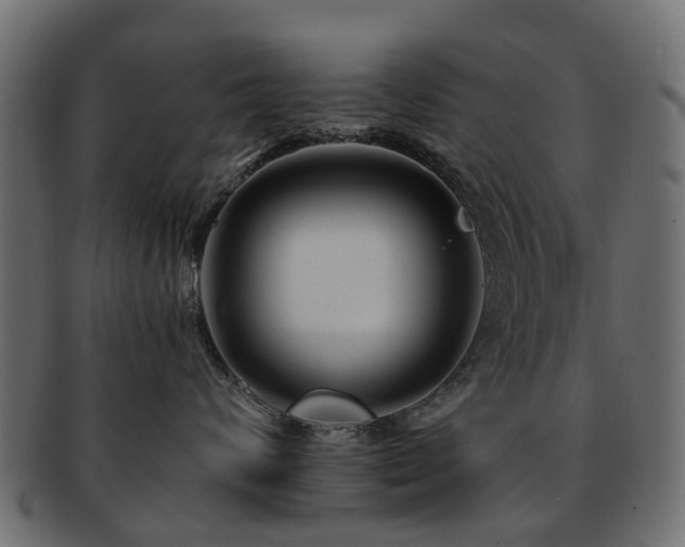 X0000093230624200709261653
