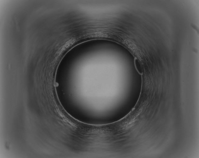 X0000093230625200709261653