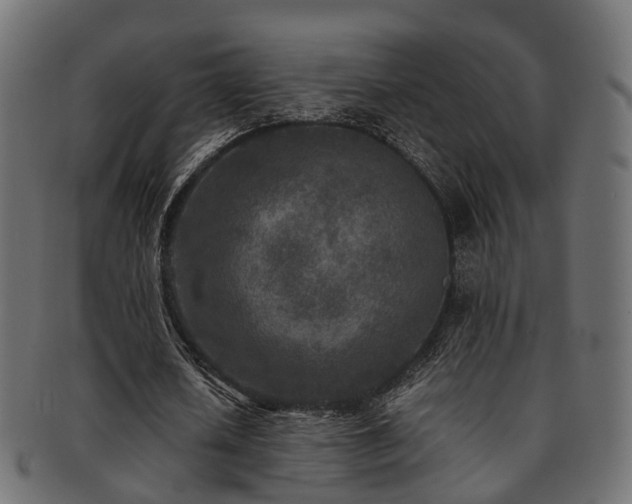 X0000093230626200709261653