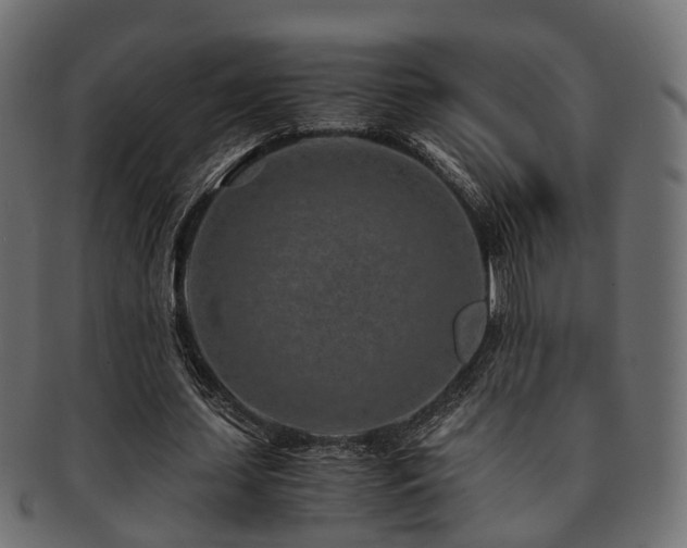 X0000093230627200709261653