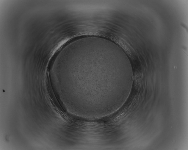 X0000093230628200709261653