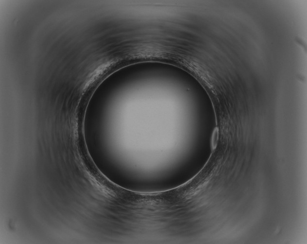 X0000093230629200709261653