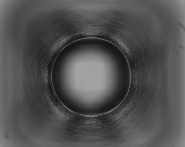 X0000093230631200709261653