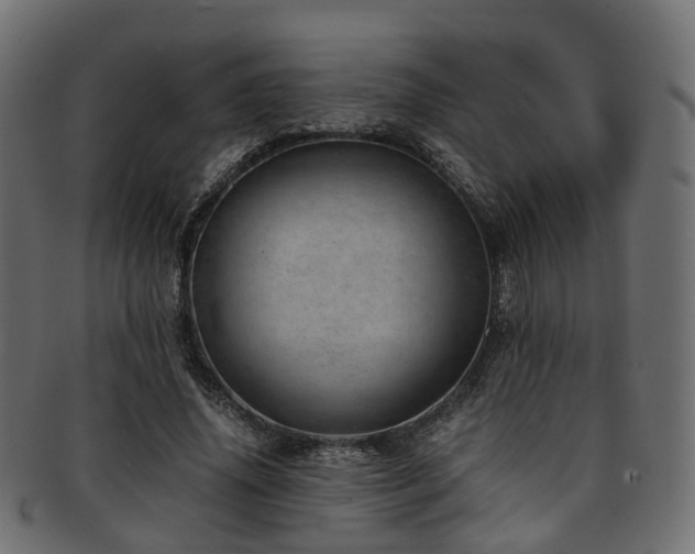 X0000093230636200709261653