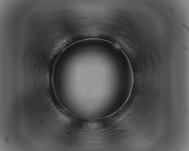 X0000093230638200709261653