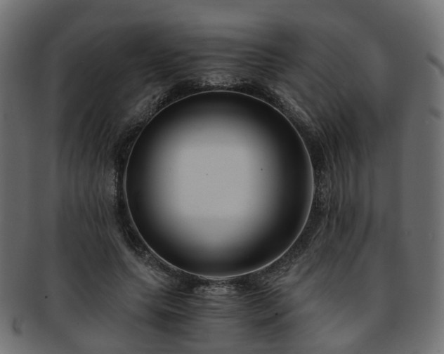 X0000093230639200709261653