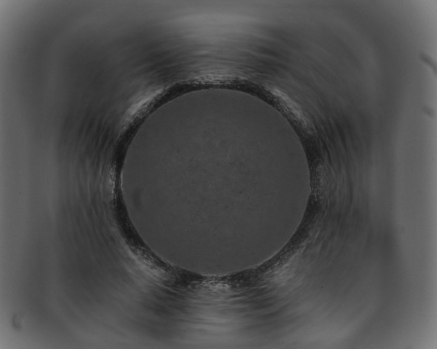 X0000093230640200709261653