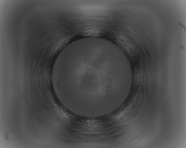 X0000093230641200709261653