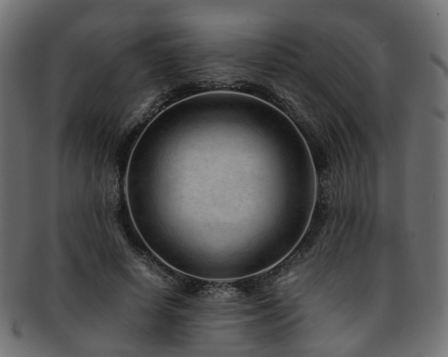 X0000093230642200709261653