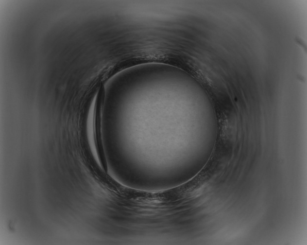 X0000093230643200709261653