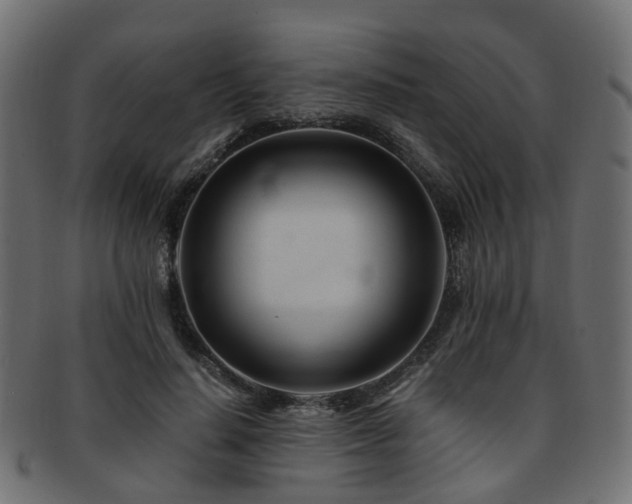 X0000093230644200709261653
